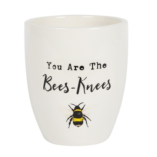 You Are the Bees Knees Ceramic Plant Pot 