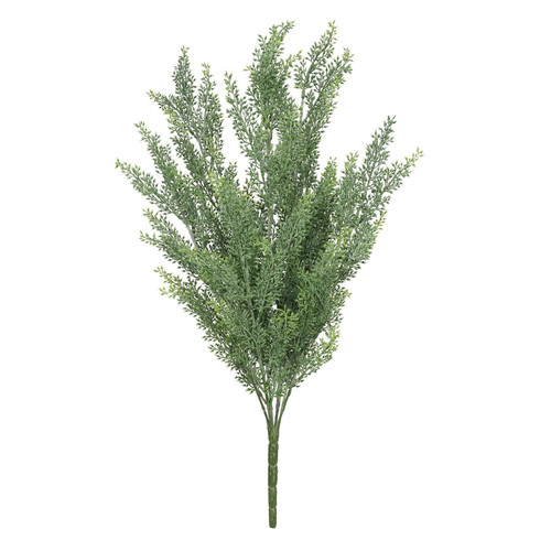 UV Exterior Everlast Helichrysum Plant (48cm) 