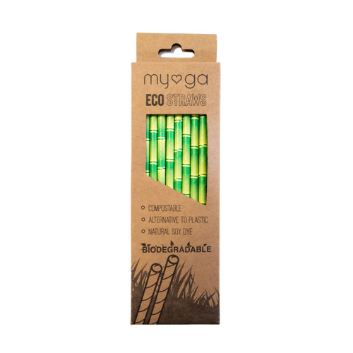 Eco Biodegradeable Straws (20pk)
