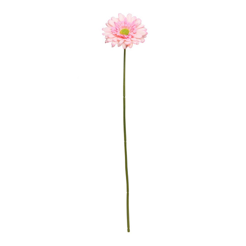 Baby Pink Gerbera Stem (72cm) Baby Pink Gerbera Stem (72cm)