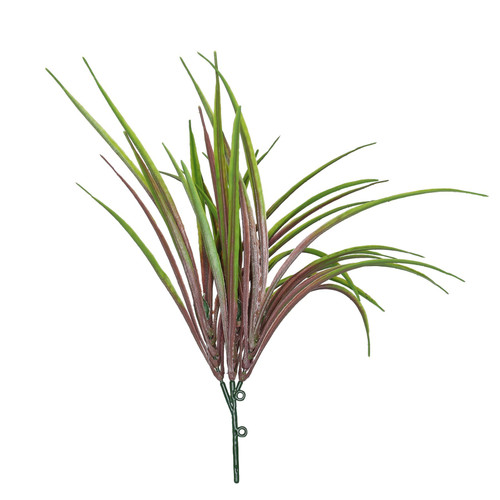 Purple Hardy Grass (30cm)  Purple Hardy Grass (30cm)