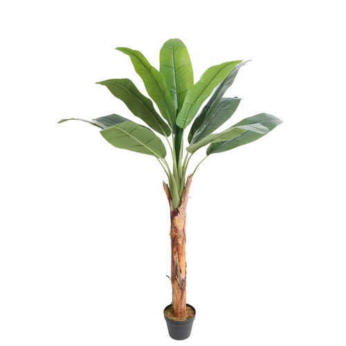 Artificial Banana Tree (165cm) Artificial Banana Tree (165cm)