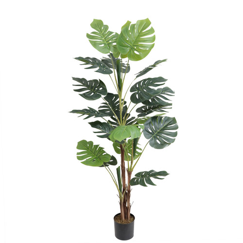 Artificial Monstera Tree (165cm) Artificial Monstera Tree (165cm)