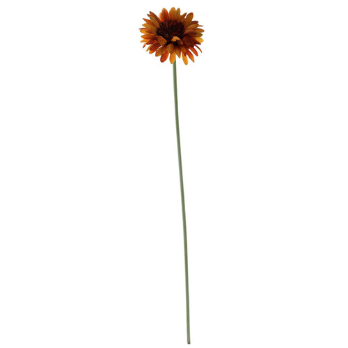 Essential Burnt Gold Gerbera 