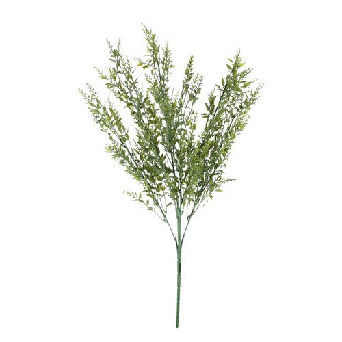 Essential Green Mini Ruscus Bush 