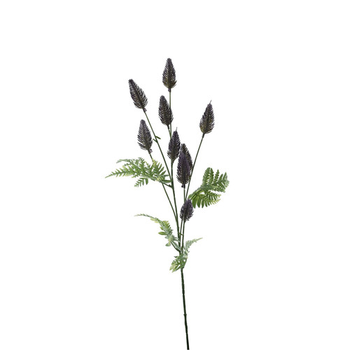 Essential Purple Thistle 