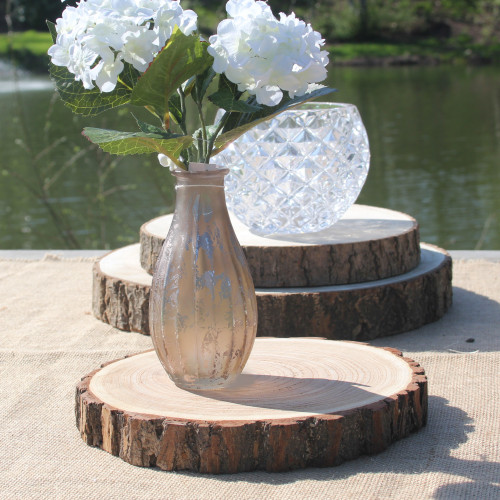 Wood Slice (S) Wood Slice (S)