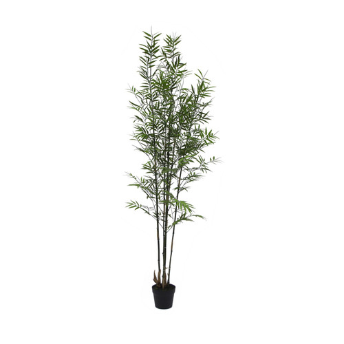 UV Botanica Bamboo Plant  (182cm)