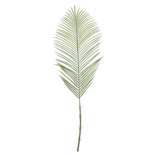 Green Areca Palm Frond (114cm)
