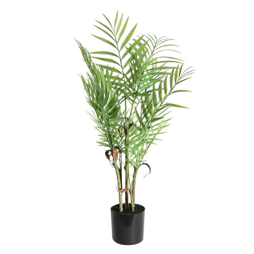 Botanica Areca Palm in Pot (72cm)