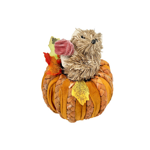 Squirrel in a Pumpkin (16cm)