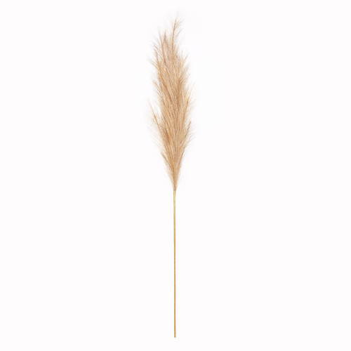 Luxury Natural Pampas Grass 