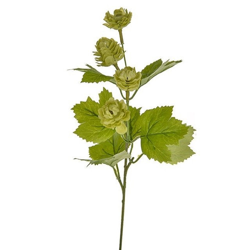 Green Hop Pick (33cm)