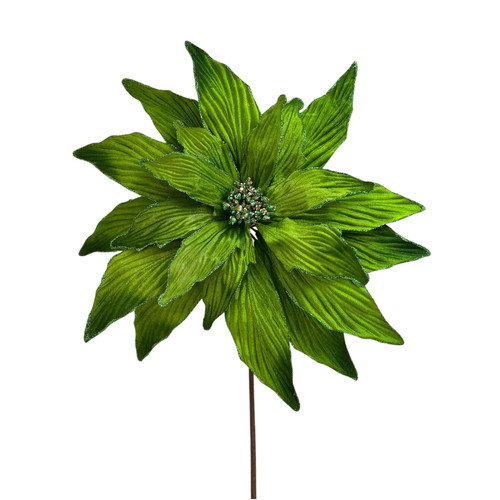 Green Poinsettia (40cm)