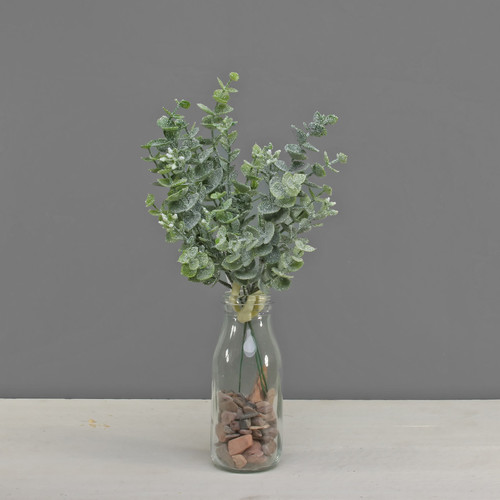 Eucalyptus Bunch with Frost 