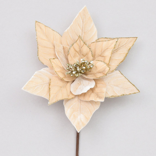 Champagne Velvet Poinsettia Pick (62cm)