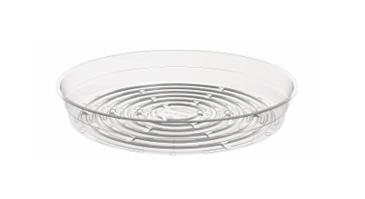 Clear Economy Plastic Plant Saucer (10 inch)