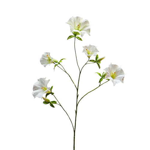Botanica Cream Sundaville (113cm)
