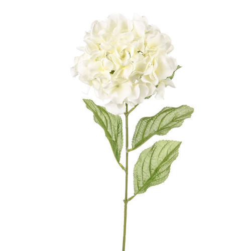 Ivory Dawn Hydrangea (72cm)