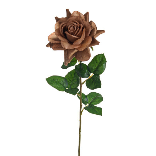 Caramel Amelia Rose Stem (68cm)