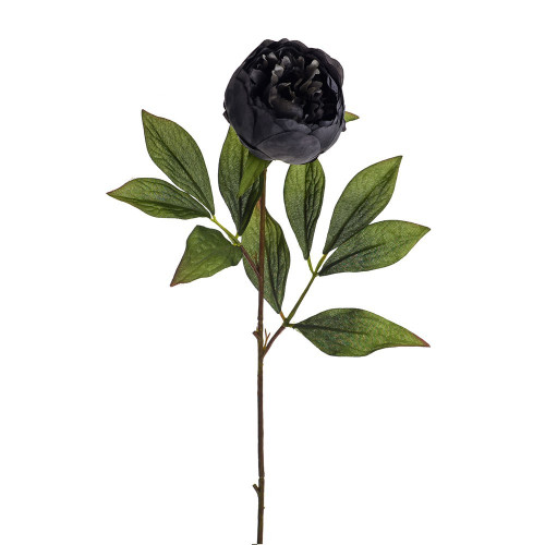 Dark Grey Amelia Peony Stem (63cm)
