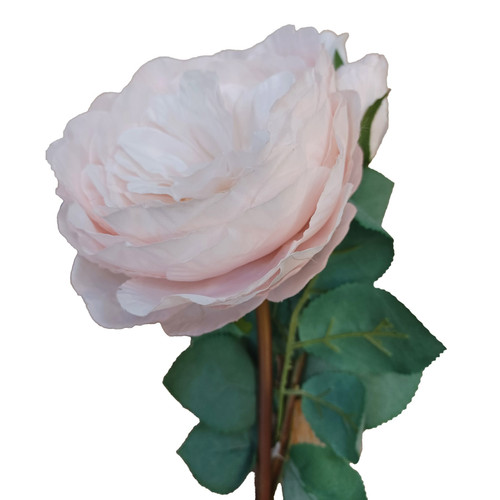 Pink Peony Rose (65cm)