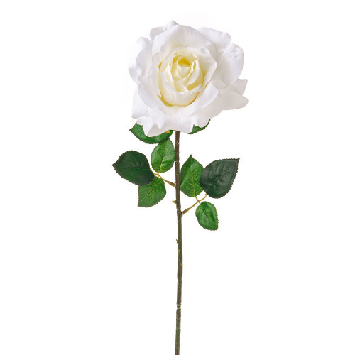 Ivory Luna Rose (64cm)