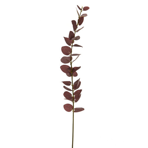 Burgundy Eucalyptus Stem (87cm)