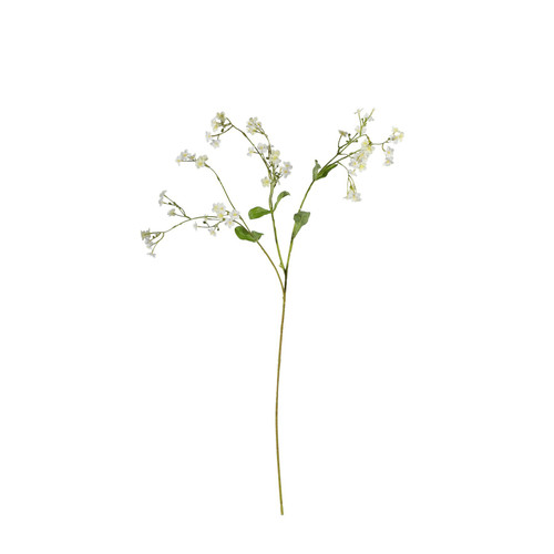Cream Forget-Me-Not Spray (76cm)