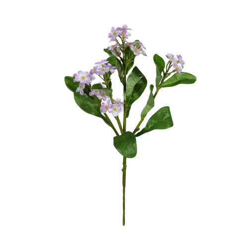 Purple Forget-Me-Not (24cm)