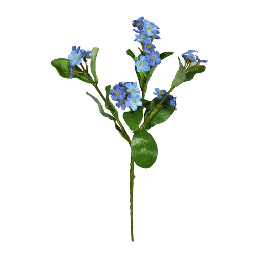 Dark Blue Forget-Me-Not (24cm)