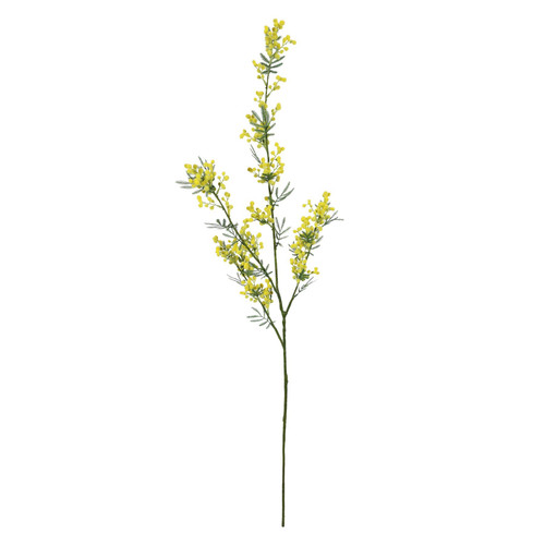 Yellow Mimosa (111cm)