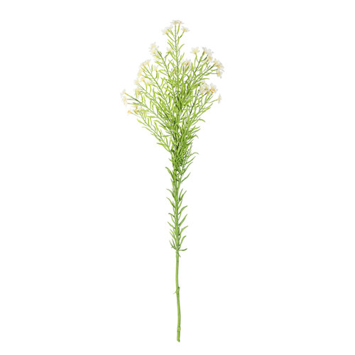 Waxflower Flower Cream (68cm)