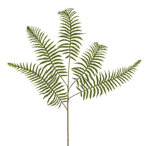 Prestige Fern Spray (74cm)