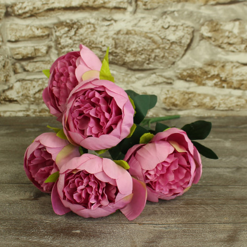 Arundel Peony Bush Lilac 