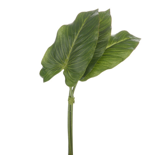 Green Anthurium Leaf Bundle (33cm)