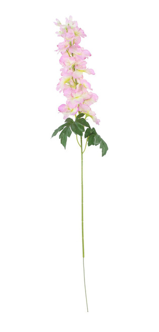 Essential Cream Pink Arundel Garden Delphinium (77cm)