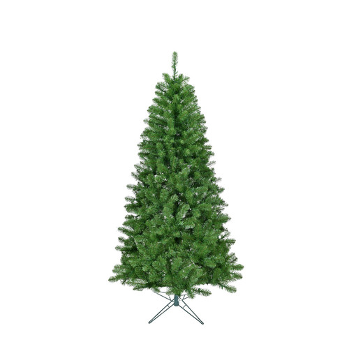 Blue Mountain Christmas Tree (760 Tips) (6ft)