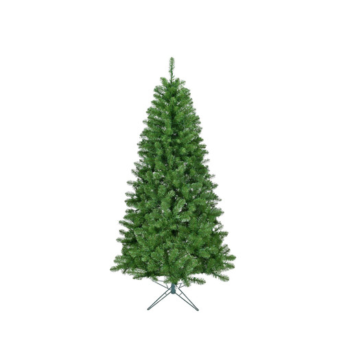 Blue Mountain Christmas Tree (478 Tips) (5ft)