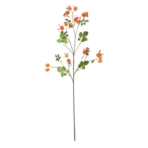 Rose Hips Spray (96cm)