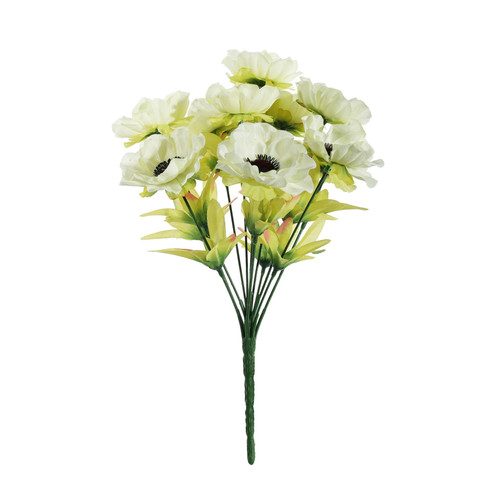 Pembroke Cream Anemones Mixed Bush (12 Stems)