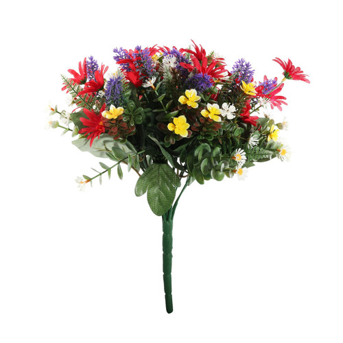 Pembroke Red Wild Daisy Bush (x12 Stems)