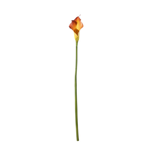 Botanica Mango Calla Lily (60cm)