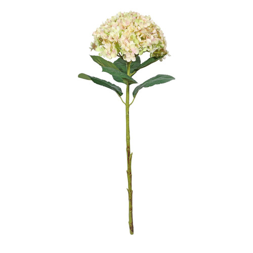 Botanica Giant Pale Green Mop Head Hydrangea (73cm)