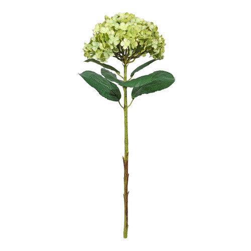 Botanica Giant Green Mop Head Hydrangea (73cm)