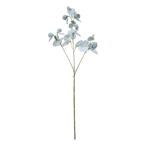 Botanica Blue Sweetpea (73cm)