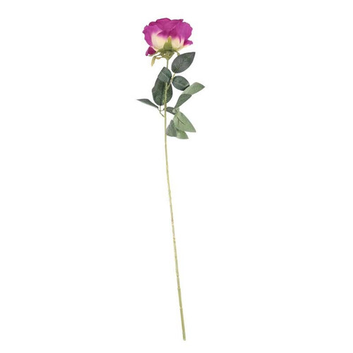 Arundel Rose Pink