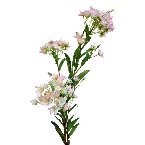 Lilac Blossom Pink (86cm)