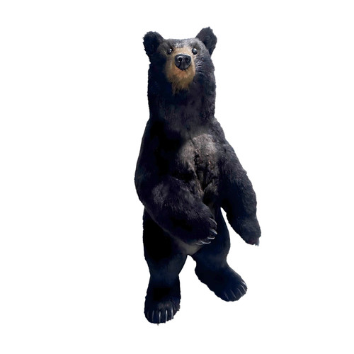 Black Standing Bear Display Figure (115cm)