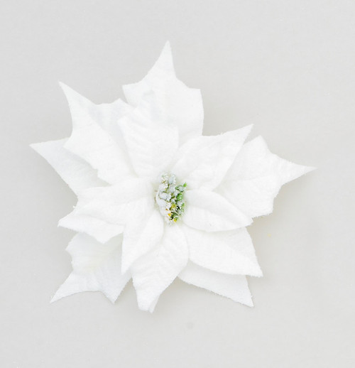 Cream Snow Dusted Poinsettia with Clip (25cm)